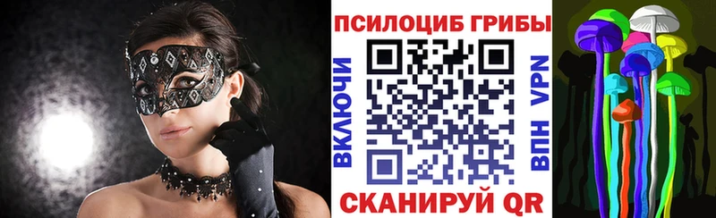 Галлюциногенные грибы MAGIC MUSHROOMS  купить  цена  Ардон 
